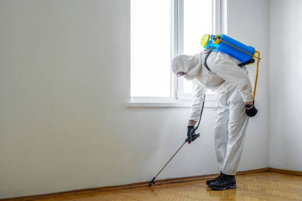 Best Affordable Pest Control Services  in Arlington, TX